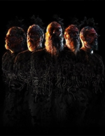 Book the best tickets for Meshuggah - Rocher De Palmer -  June 19, 2023