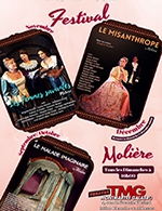 Réservez les meilleures places pour Le Malade Imaginaire - Theatre Montmartre Galabru - Du 17 septembre 2023 au 29 octobre 2023