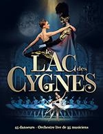 LE LAC DES CYGNES