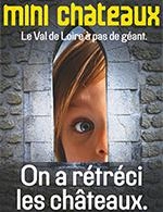 PARC MINI-CHATEAUX - ENTREE - PARC MINI CHATEAUX