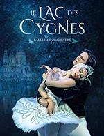 LE LAC DES CYGNES - BALLET ET ORCHESTRE