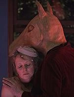 TOUTES LES PETITES CHOSES - TOUTES LES PETITES CHOSES QUE J'AI PU VOIR