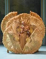 MALANDAIN BALLET BIARRITZ - MALANDAIN BALLET BIARRITZ : MARIE-ANTOIN