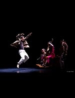 Réservez les meilleures places pour Phenix - Centre Culturel La Loge - Le 31 janv. 2026