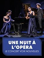 UNE NUIT A L'OPERA