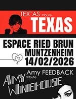 AMY FEEDBACK TRIBUTE AMY WINEHOUSE