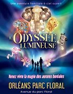 L'ODYSSEE LUMINEUSE - BILLET OPEN - L'ODYSSE LUMINEUSE - BILLET OPEN