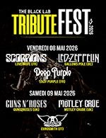 THE BLACK LAB TRIBUTE FEST JOUR 2