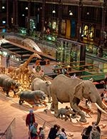 VOYAGE À LA GALERIE DE L'ÉVOLUTION - VOYAGE EXTRAORDINAIRE À LA GALERIE DE L'ÉVOLUTION