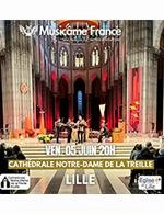CONCERT MUSICAME FRANCE A LILLE